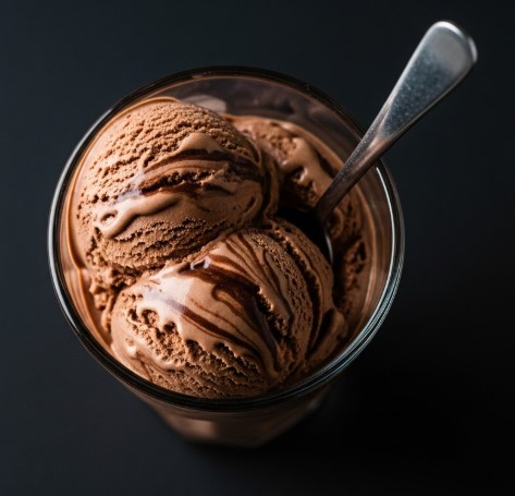 Ninja Creami chocolate protein ice cream with swirl